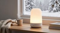 top winter sad lamps