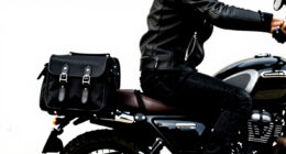 8 Best Passenger Backrest Bag for Touring Motorcycles in 2026