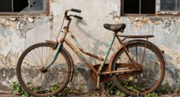 assessing bike s condition