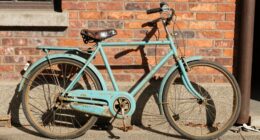 assessing project bike potential