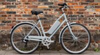 easy electric bike maintenance