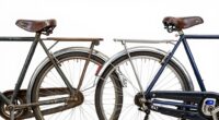restoration vs survivor bike