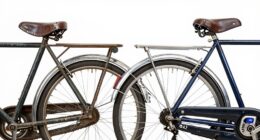 restoration vs survivor bike