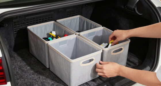 10 Best Car Storage Organizers in 2026