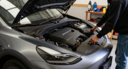 This Tesla Model 3 Just Hit 250,000 Miles With Only One Minor Part Failure
